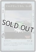 イルカちょうちん