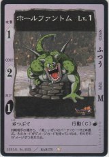 ホールファントム