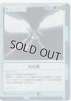 画像1: 光の翼