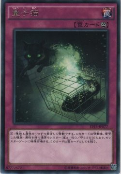 画像1: 量子猫【レア】
