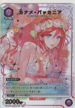 画像1: カナメ・バッカニア≪パラレル≫