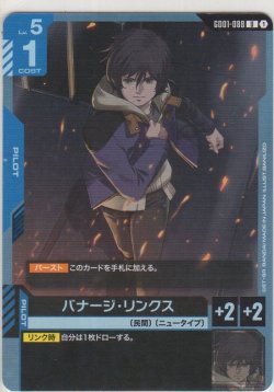 画像1: バナージ・リンクス