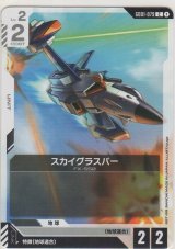 スカイグラスパー