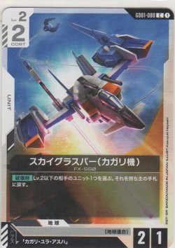 画像1: スカイグラスパー(カガリ機)