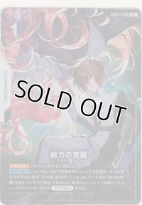 能力の覚醒≪パラレル≫