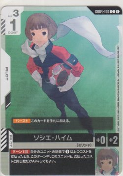 画像1: ソシエ・ハイム