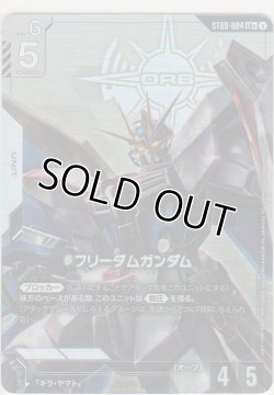 画像1: フリーダムガンダム≪パラレル≫