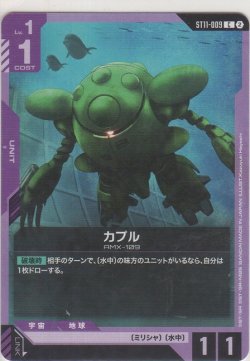 画像1: カプル