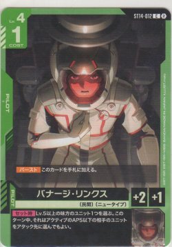 画像1: バナージ・リンクス