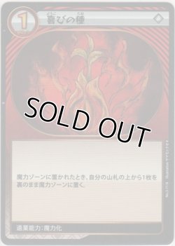 画像1: 喜びの種