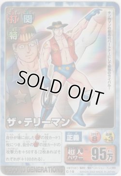 画像1: ザ・テリーマン