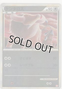 画像1: ケンタロス≪ミラー≫