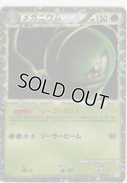 画像1: メガニウム