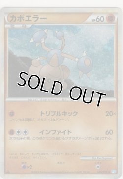 画像1: カポエラー