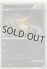 カモネギ≪ミラー≫