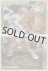 エンテイ＆ライコウLEGEND