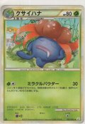 クサイハナ