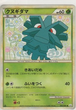 画像1: クヌギダマ