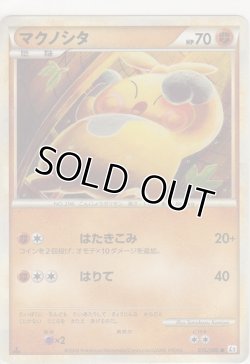 画像1: マクノシタ