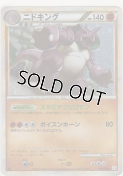 画像1: ニドキング