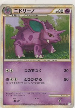 画像1: ニドリーノ