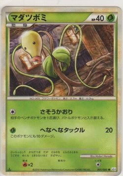 画像1: マダツボミ