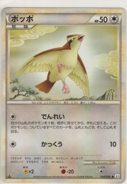画像1: ポッポ