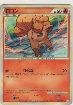 画像1: ロコン