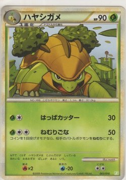 画像1: ハヤシガメ