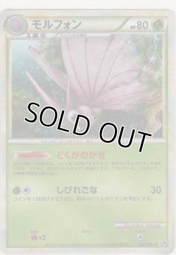 画像1: モルフォン