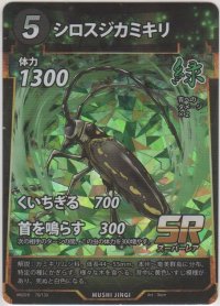シロスジカミキリ