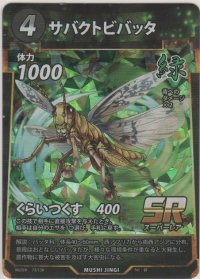 サバクトビバッタ