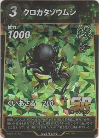 クロカタゾウムシ