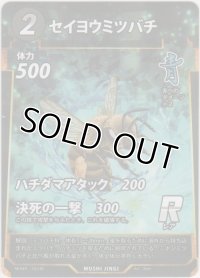 セイヨウミツバチ