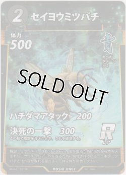 画像1: セイヨウミツバチ