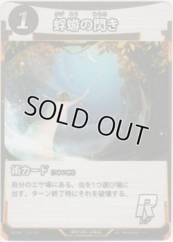 画像1: 蜉蝣の閃き