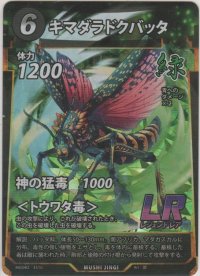 キマダラドクバッタ