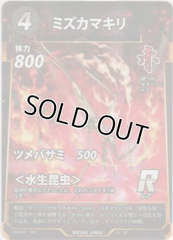 画像1: ミズカマキリ