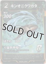 キンオニクワガタ