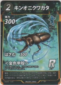 キンオニクワガタ