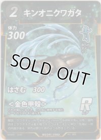 キンオニクワガタ