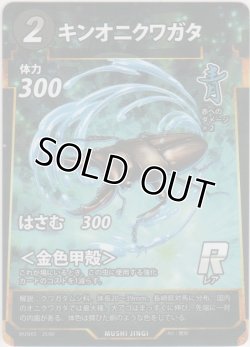 画像1: キンオニクワガタ