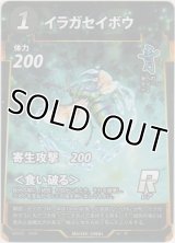 イラガセイボウ