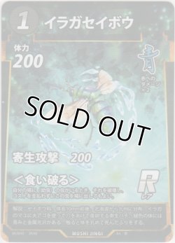 画像1: イラガセイボウ