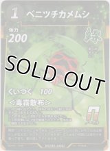 ベニツチカメムシ