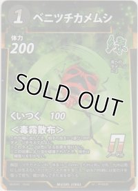 ベニツチカメムシ