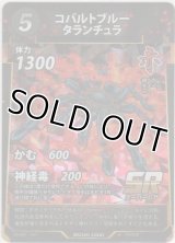 コバルトブルータランチュラ