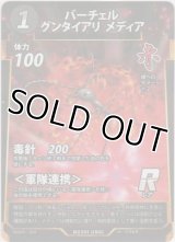 バーチェルグンタイアリ メディア