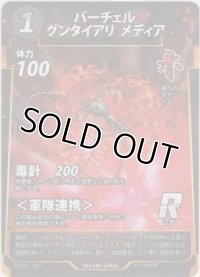 バーチェルグンタイアリ メディア