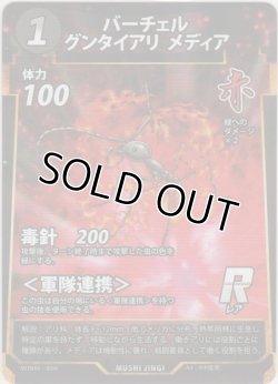 画像1: バーチェルグンタイアリ メディア